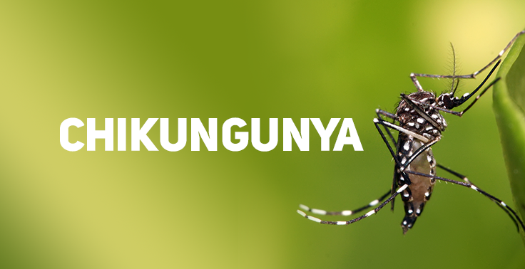 Combate Ao Aedes Aegypti: Arrastão para Prevenção e Controle da Dengue, Chikungunya e Zika