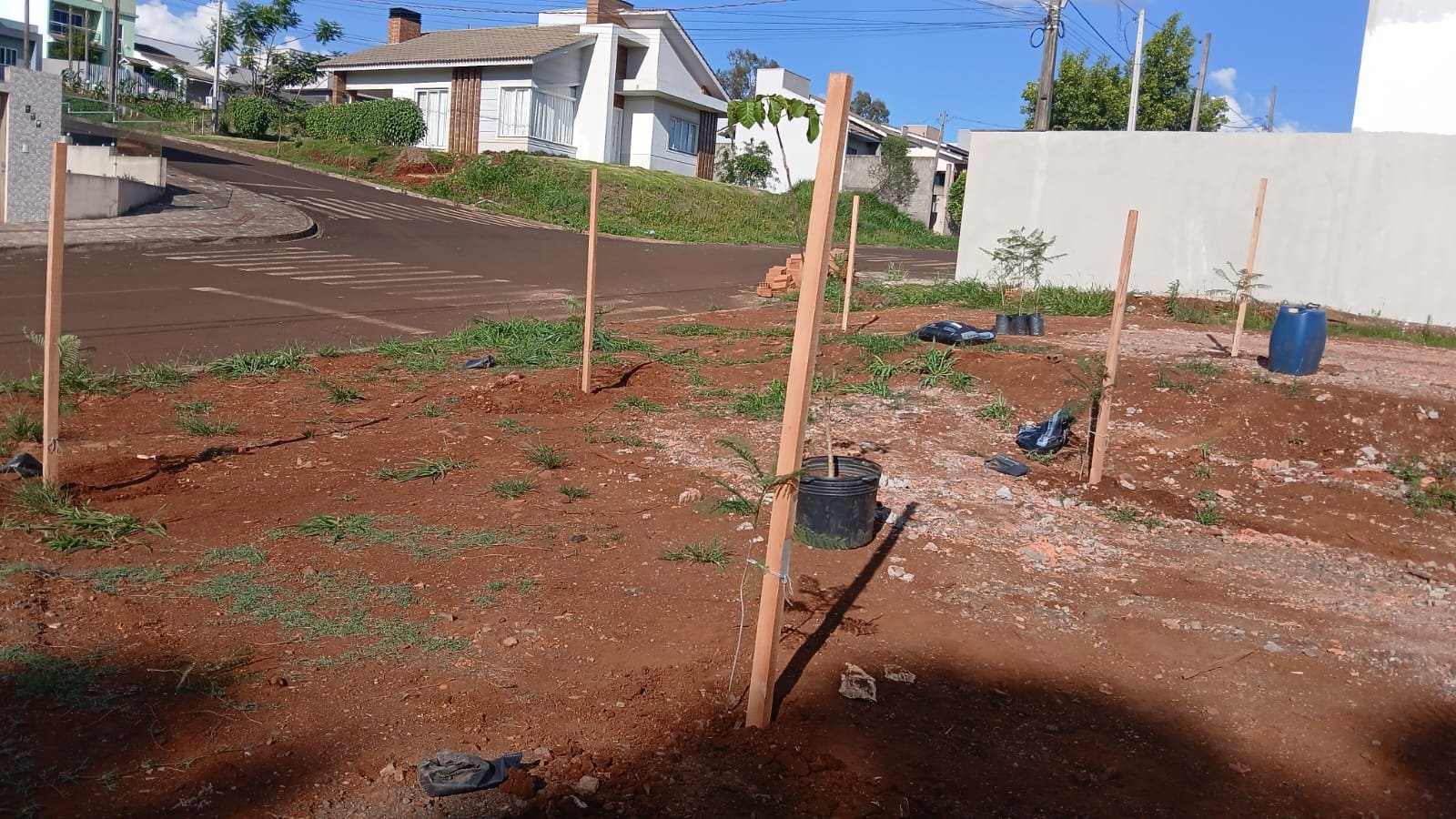 BAIRRO DA LUZ GANHA NOVO ESPAÇO VERDE COM PLANTIO DE JACARANDÁS