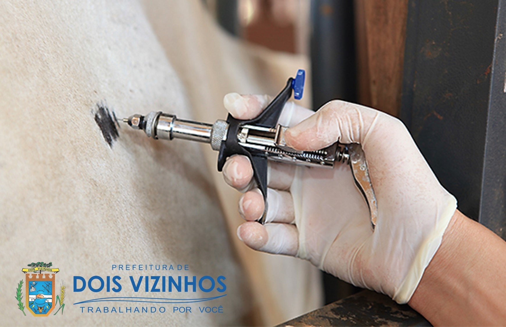 ATENÇÃO, PRODUTOR RURAL! EXAMES DE BRUCELOSE E TUBERCULOSE DEVEM ESTAR ATUALIZADOS ATÉ 30 DE ABRIL